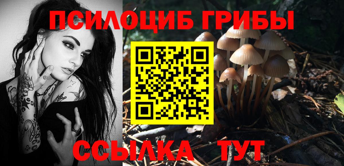 Псилоцибиновые грибы прущие грибы  Галлюциногенные грибы Cubensis  Вход с VPN  Жуковский 